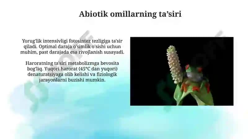 Turli ekologik omillarning tirik organizmlarga ta'sir etish mexanizmlari 4
