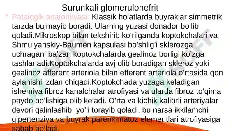 Glomerulonefrit 4
