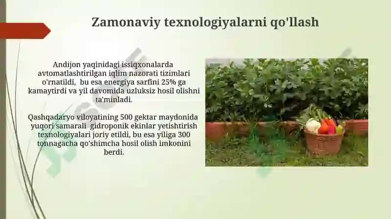 OʻZBEKISTON MEVA VA SABZAVOTCHLIK JAVOXIR 4