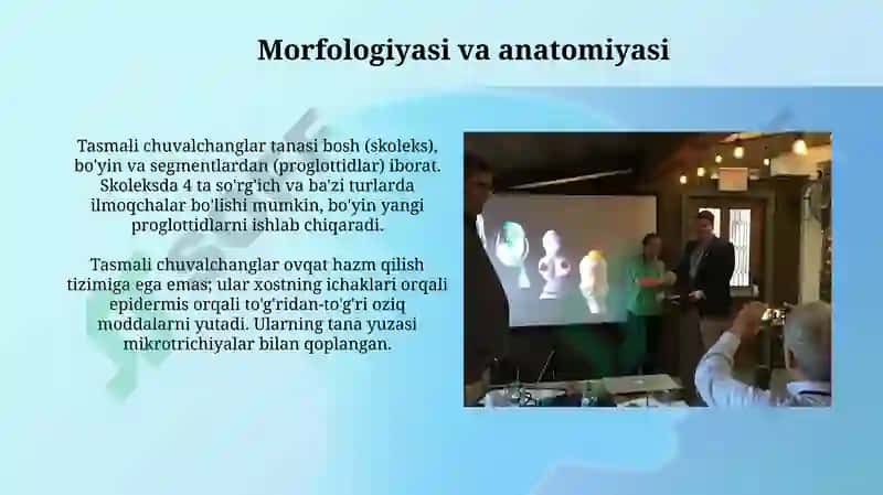 Tasmasimon chuvalchanglar dunyosi va ularning vakillari 4