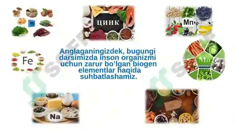 Biogenelementlar va ularning tirik organizmlardagi axamiyati 4
