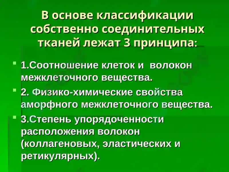 Лекция: «Собственно соединительные ткани. Соединительные ткани со специальными свойствами».Доцент Курумчина С.Г. 4