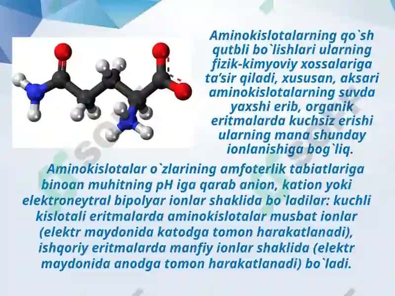 Aminokislotalarning almashinuvi reaksiyalari 4