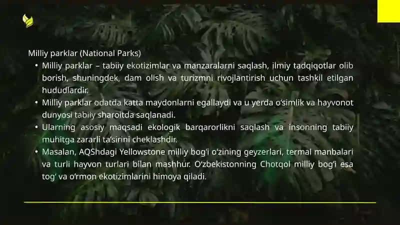 Alohida muhofaza qilinadigan tabiiy xududlarning turlari va uni tashkil etish 4