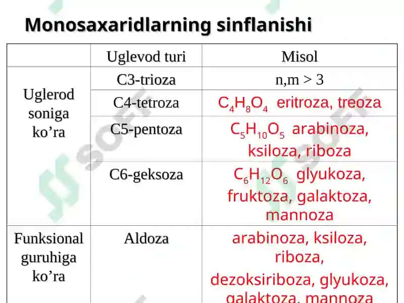 Uglevodlar Sho'rchi 2024 4