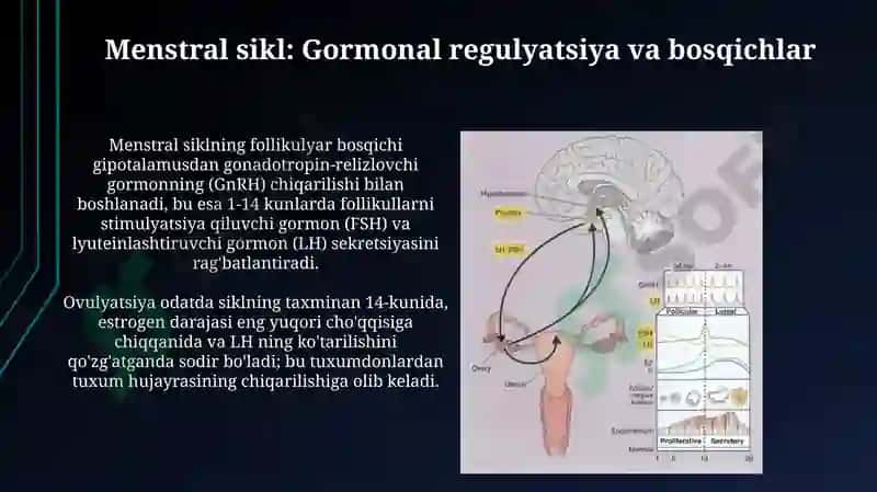 Ayollar jinsiy azosi fizologiyasi va patologiyasi hays sekli 4