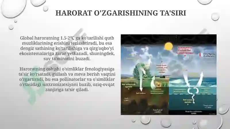Global iqlimoʻzgarishi biologik tizimlar g‘ataʼsiri 4