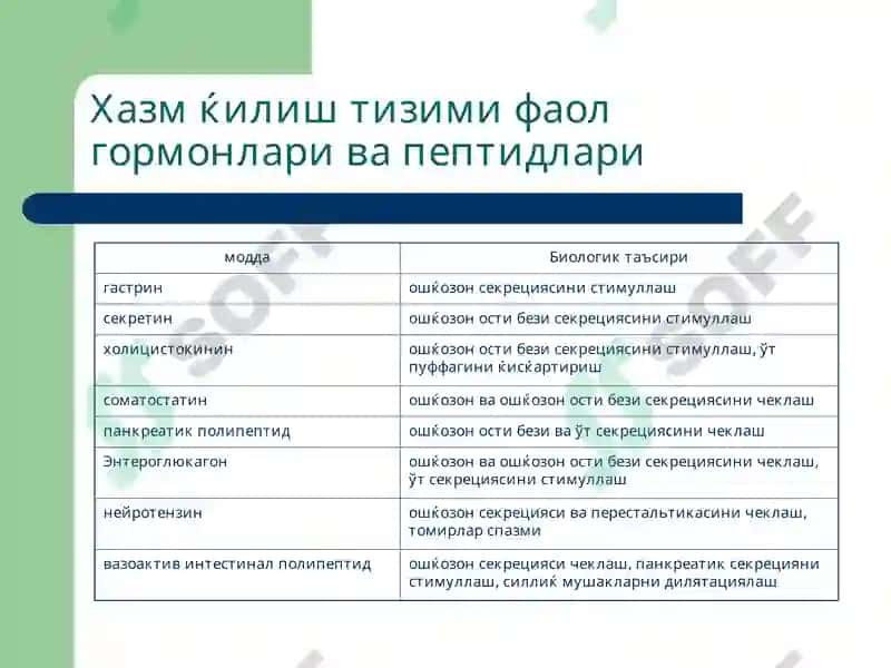 Хазм ќилиш тизими 4