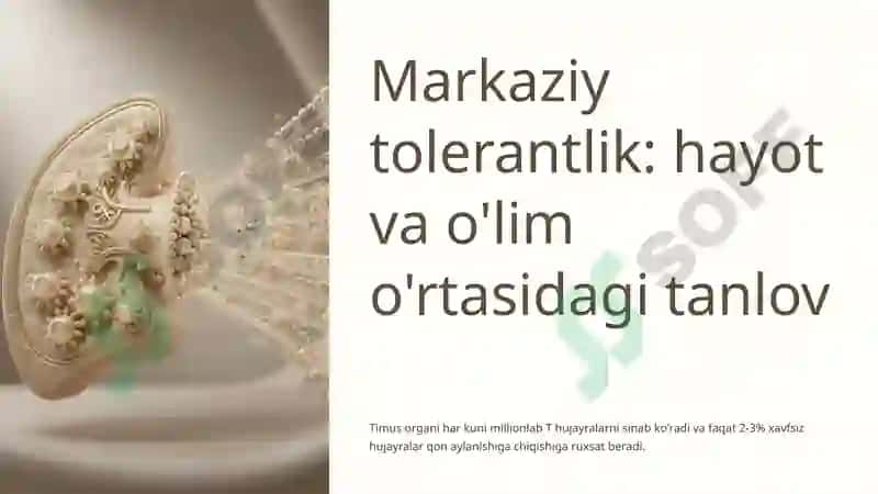 Immunologik tolerantlik nuqsonlari va autoimmun kasalliklar 4