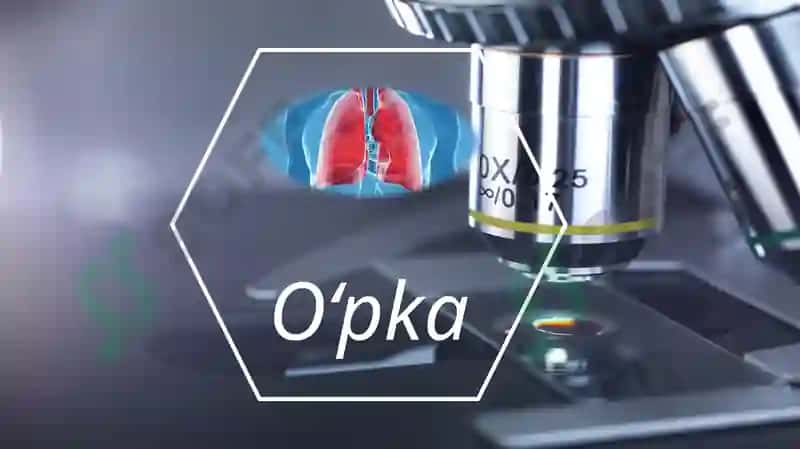 Nafas olish sistemasi pptx 4