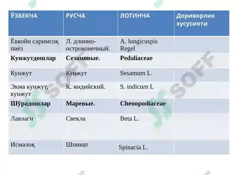 ЎзбекистонингистиқболлидоривориворЎсимликлари 4