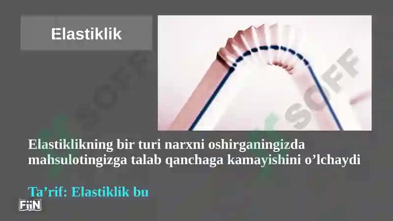 Elastiklik va uning qo’llanilishi 4