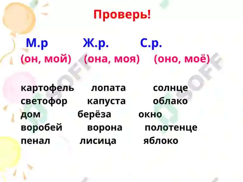Род имён существительных 4