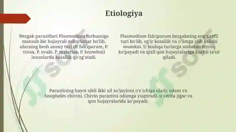 Bezgakparazitiepidemiologiyasi 4
