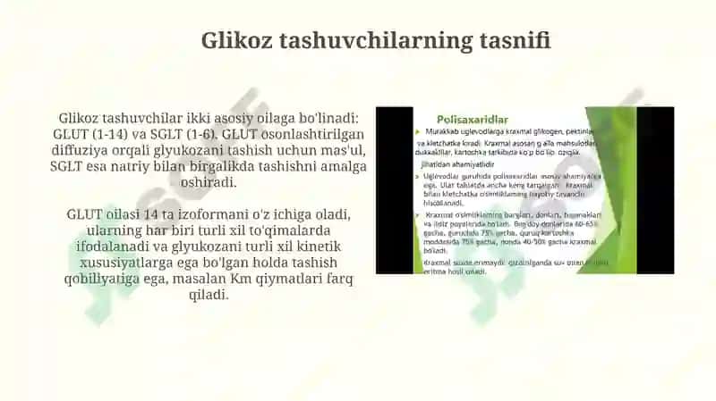 Glyukozatashuvchilariningtuzilishi,spetsifikligi,klinikahamiyati 4