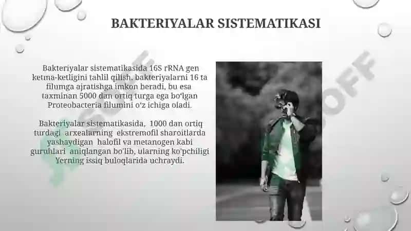 Mikroroorganizimlar va ularning sistimatikasi 4