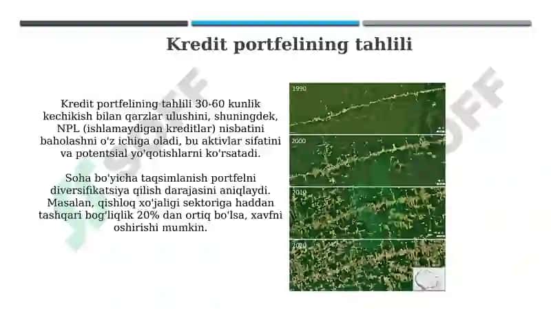 Agrobank (Kredit portfeli,foyda,risklar,raqamli xizmatlar) ma’lumotlarini iqtisodiy tahlil qilish 4