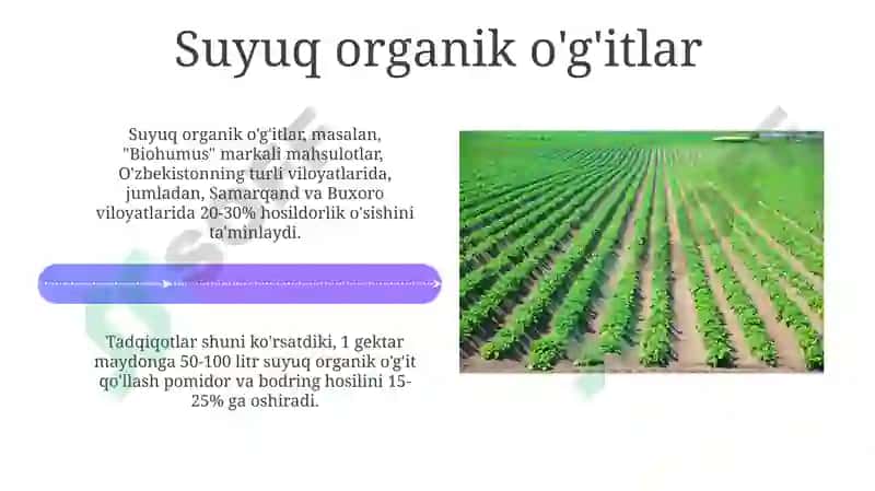 Sabzavot Ekinlarini Organik O'g'itlash Texnologiyalari 4