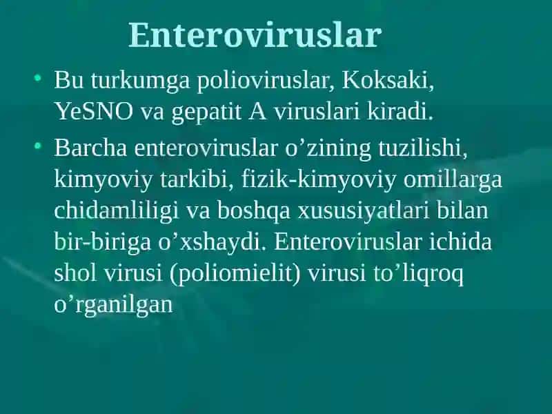 RNK SАQLOVCHI VIRUSLАR 4