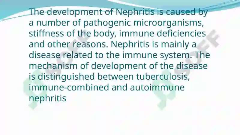 Nephritis 4
