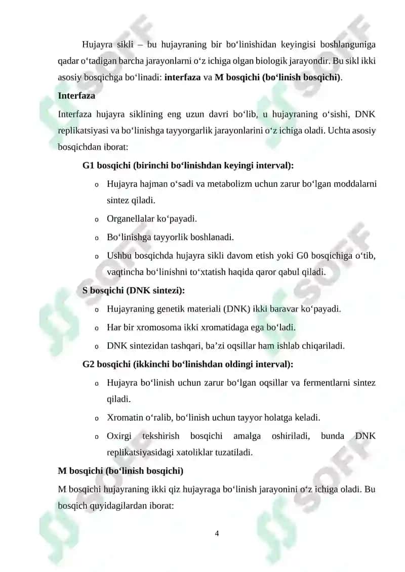 Hujayra sikli va uning davriyligi 4
