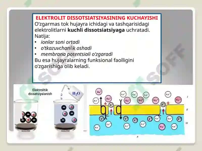 Organizm to‘qimalariga o‘zgarmas tokning birlamchi ta’siri 4