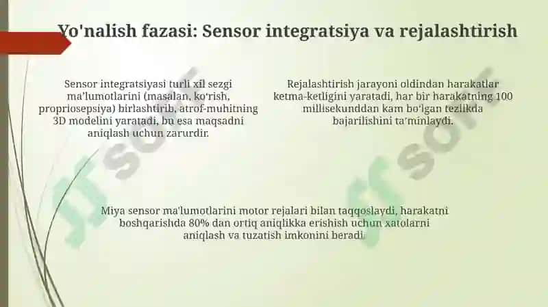Harakat fazalari 4