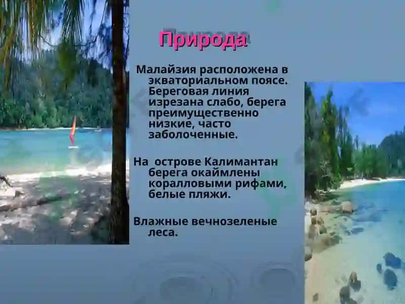 Малайзия 4