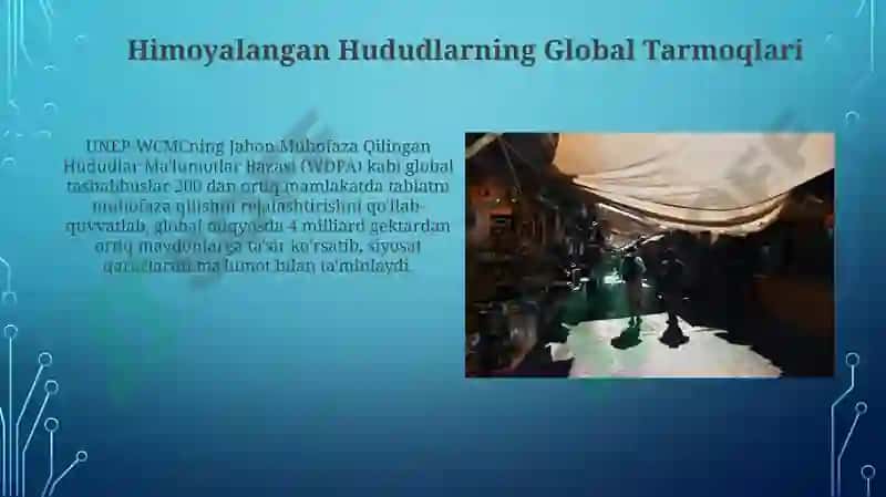 Global Tarmoqlar va Boshqaruv 4