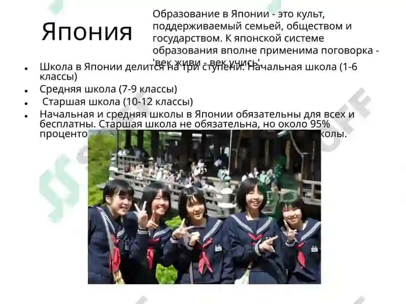 Образование в России 4