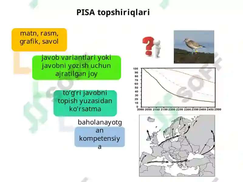 XALQARO TADQIQOTLARDA O‘QUVCHILARNING TABIIY FANLAR BO'YICHA SAVODXONLIGINI BAHOLASH 4
