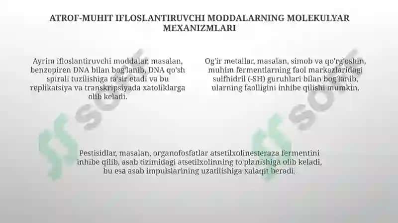 Postembrional rivojlanish va atrof-muhit ifloslanishi genetika 4