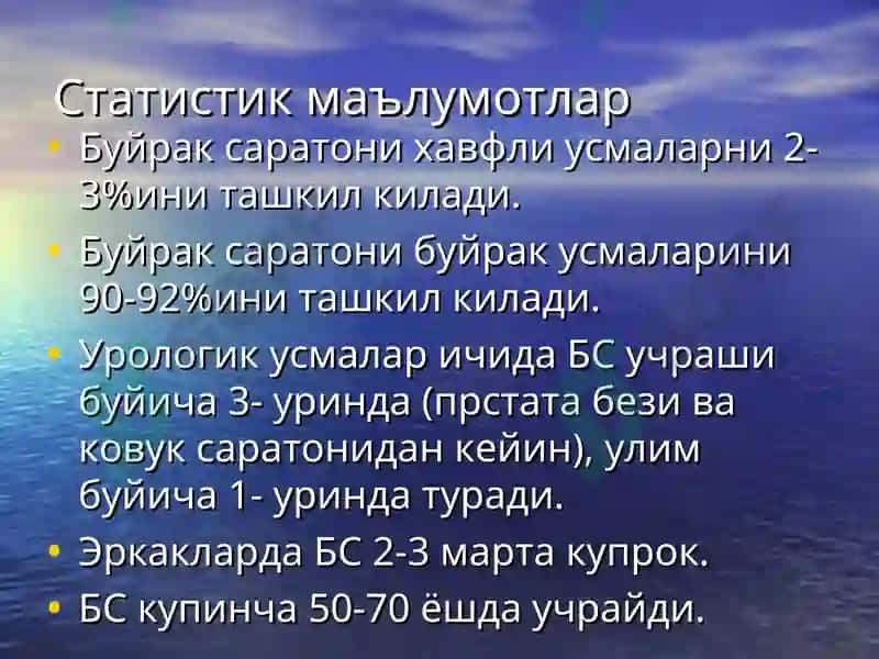 Буйрак Саратони 4