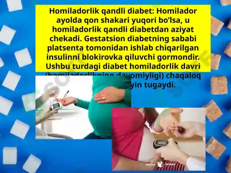 Qandlidiabet 4