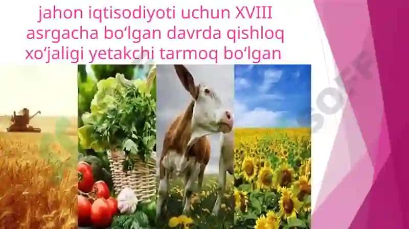 Jahonxo‘jaligi va xalqaro mеhnat taqsimoti 4