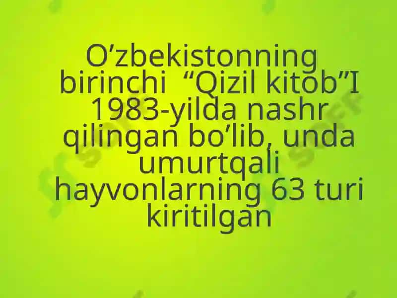 Ekologiya-haqida-tushuncha 4