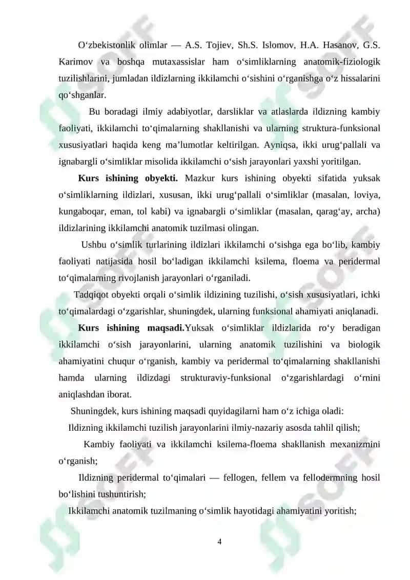 Yuksak o’simliklar ildizlarining ikkamchi anatomik tuzilishi 4