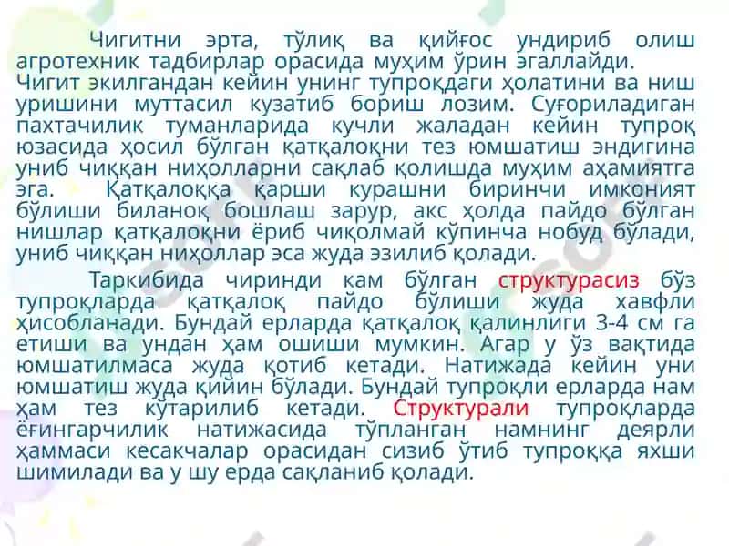 Ғўзани ягона қилиш ва кўчат қалинлиги 4
