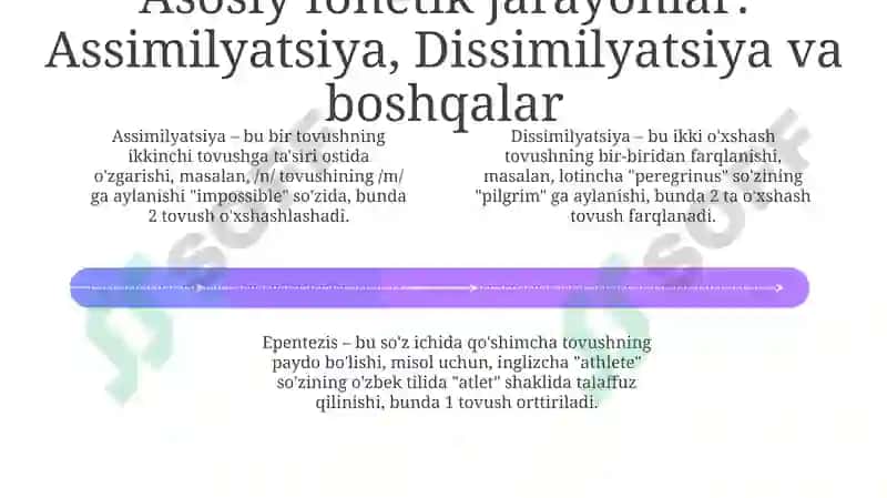 Nutq tovushlarining fonetik o'zgarishlari va ularning tasnifi 4