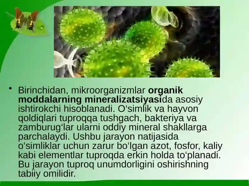 Mikroorganizmlardan tuproq unumdorligini oshirishda  foydalanish 4