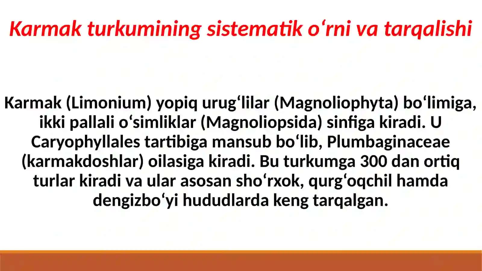 Karmak (Limonium Mill) turkumining umumiy tavsifi 4