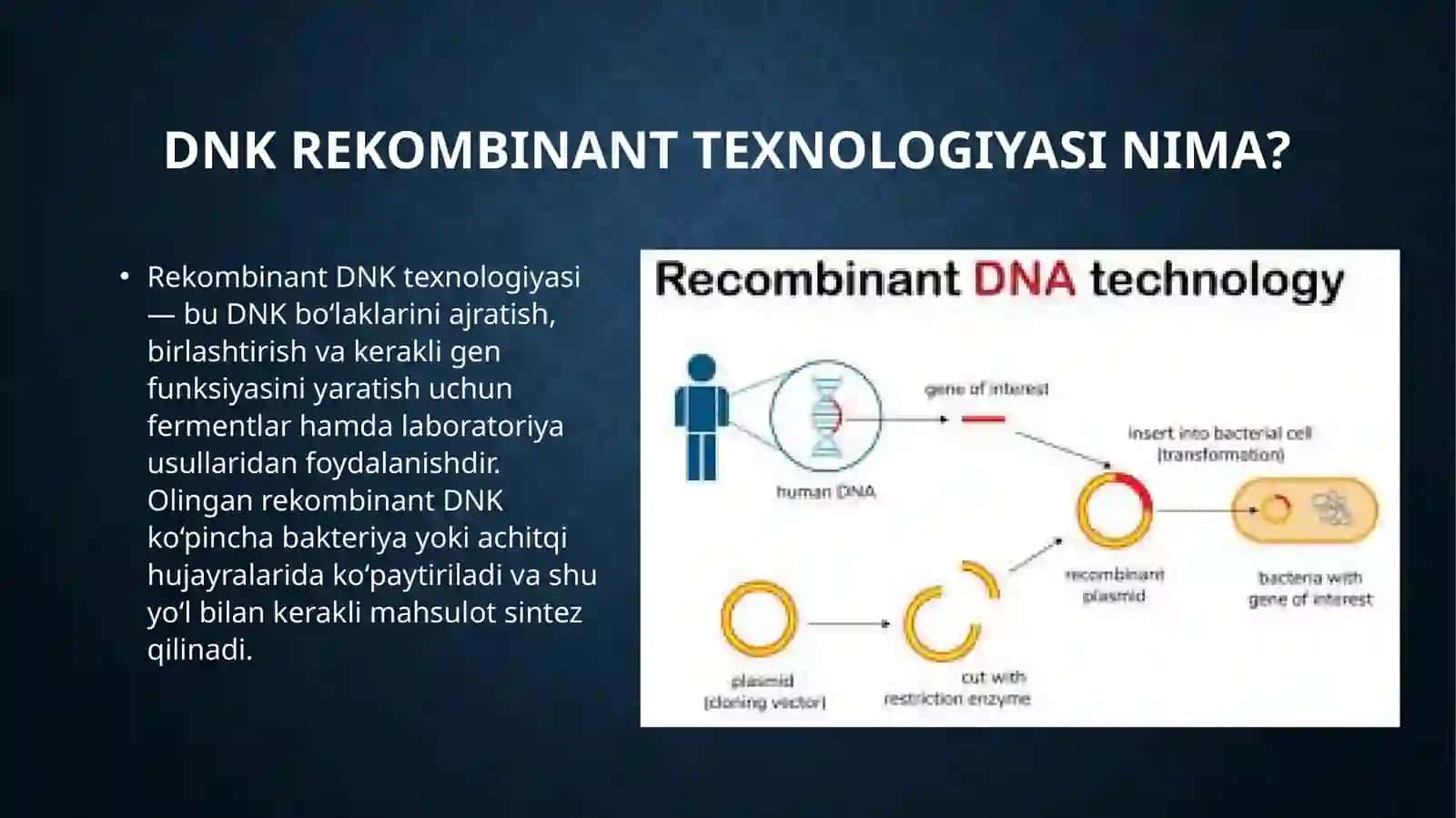 Recombinant dnk biokimyosi 4