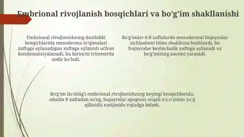 Boʻgʻimlarni rivojlantirishga tashqil va ichki omillar tasiri 4