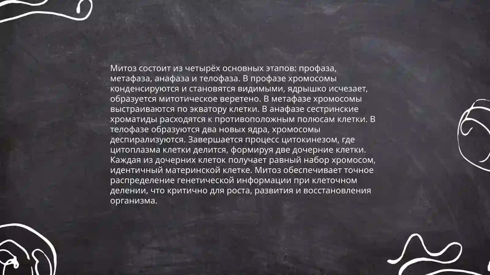Mitoz 4