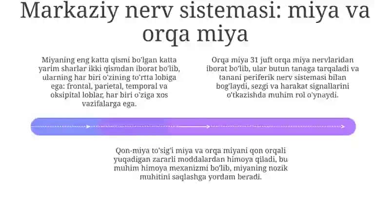 Nervsistemasiningtuzilishi 4