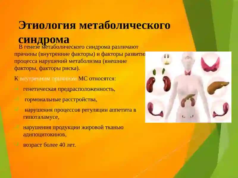 Влияние питания на возникновение Метаболического синдрома 4