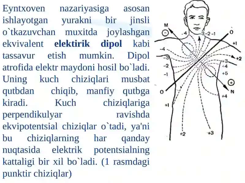 Tibbiy va Biologik Fizika Fanidan Amaliy Mashg'ulot 4