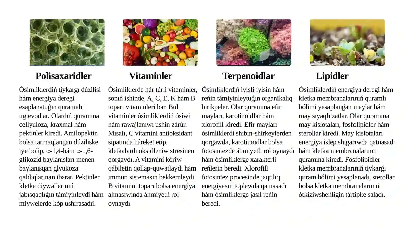 Polisaxaridler, vitaminler, terpenoid, lipidler saqlawshı ósimlikler hám olardıń ónimlerin analizlew 4
