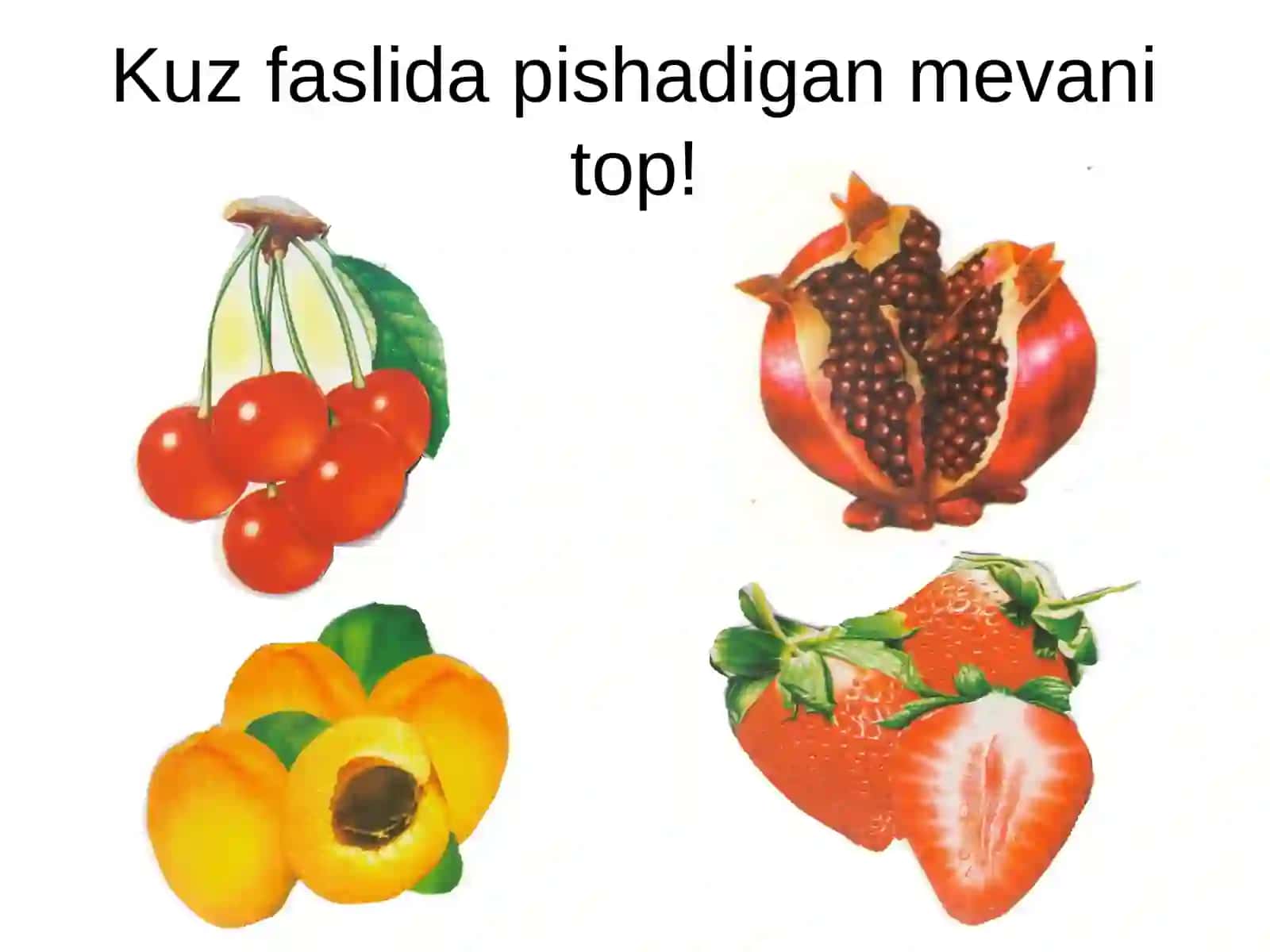 O'qish darslarida badiiy asarlarni o'rganish metodikasi ochiq dars ishlanmasi 4