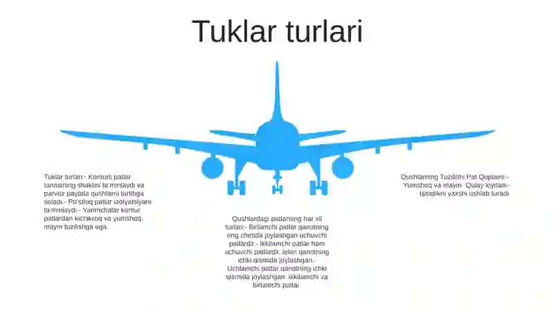 Tuklar anatomiyasi 4